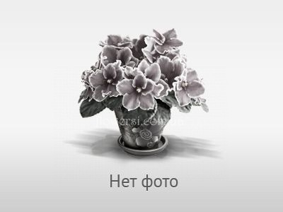 Фиалка ЛЕ-Аюми