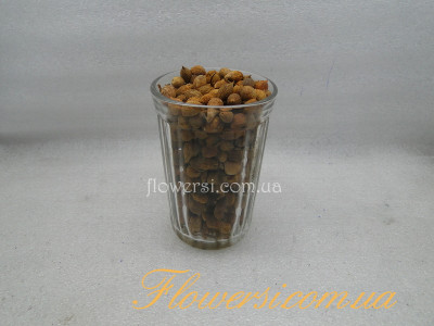 Гладіолуси дітка (суміш сортів)